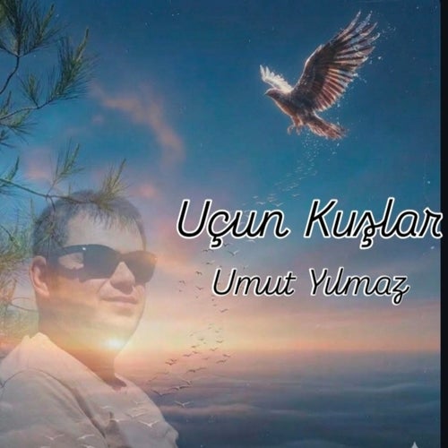 Uçun Kuşlar