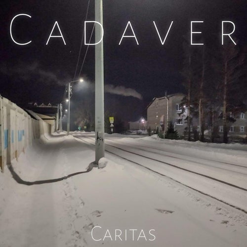 Cadaver