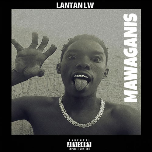 Release of the week
