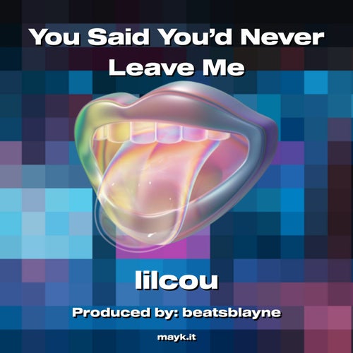 You Said You'd Never Leave Me