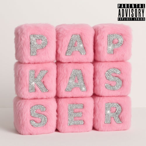 Papkasser