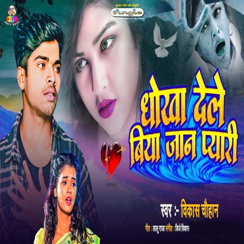 Dhokha Dele Biya Jaan Pyari