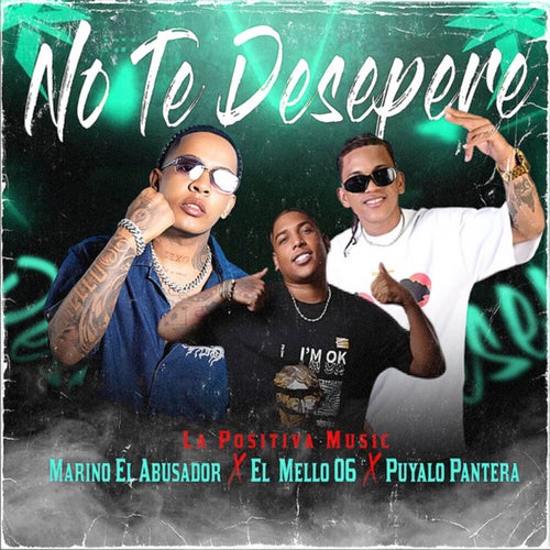 NO TE DESEPERE