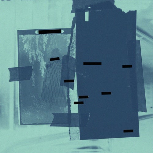 neuro_flux4