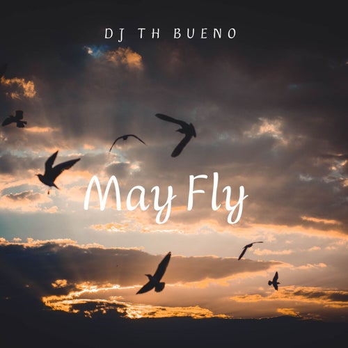 May Fly (Instrumental)