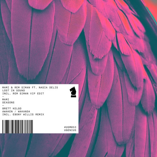 Release of the week