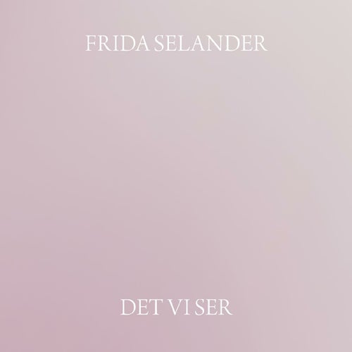 Det vi ser