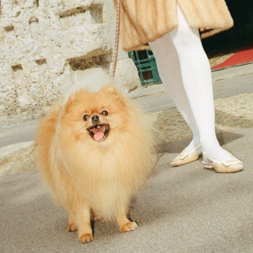 Marzo Beige