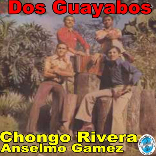 Dos Guayabos