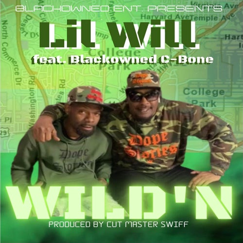Wild'n