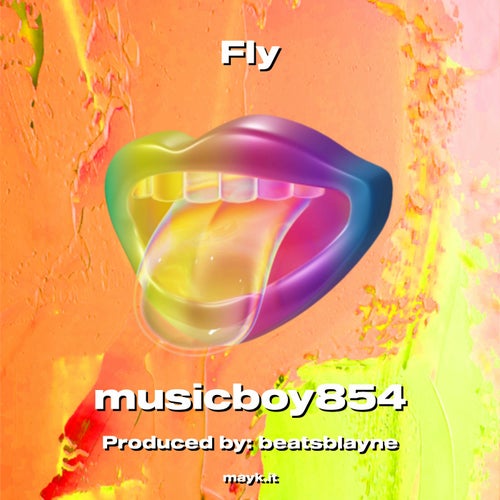 Fly