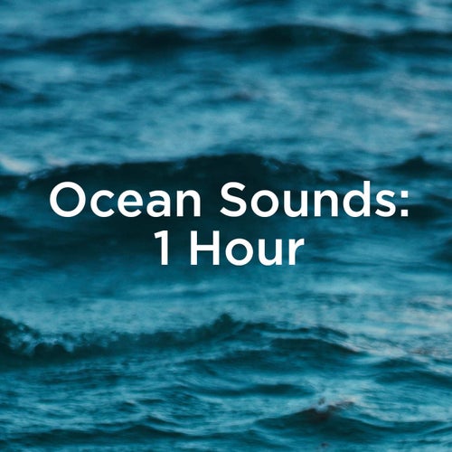 Ocean Sounds 1 Hour