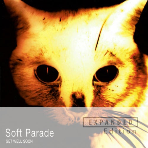 Get Well Soon (Expanded Edition)