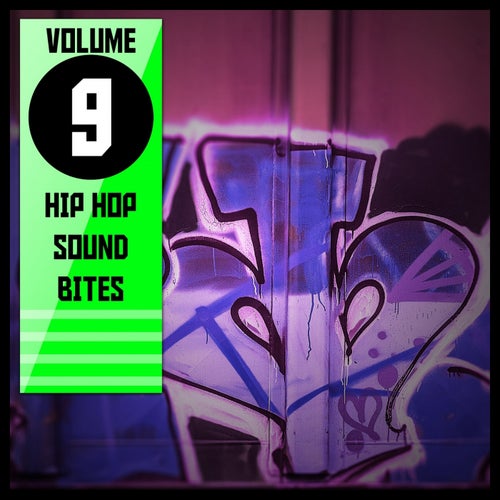 Hip Hop Sound Bites,Vol. 9