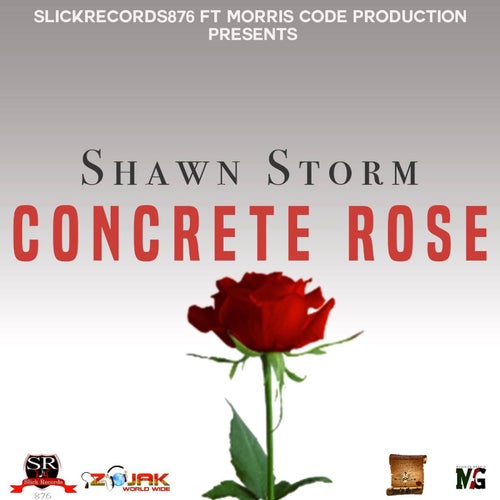 Concrete Rose