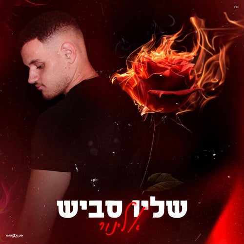 אלינור