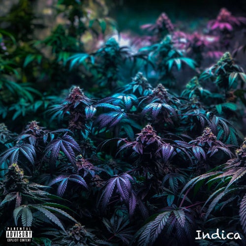 Indica - EP