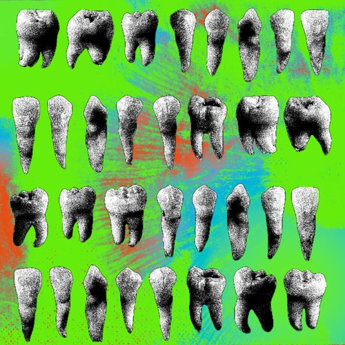 32 denti