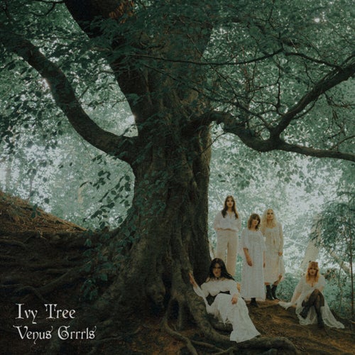 Ivy Tree