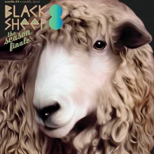 Blacksheep Compilation Volume 8 - The Season Finale