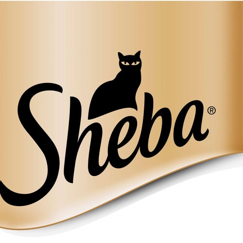 Sheba Profile