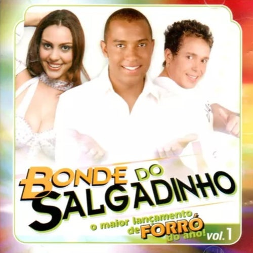 O maior lançamento de forró do ano ! vol.1