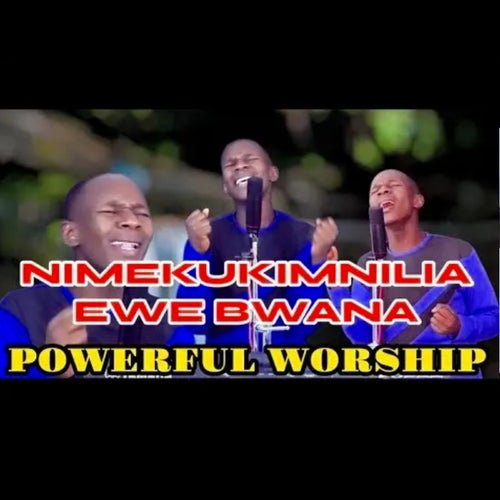 NIMEKUKIMBILIA EWE BWANA NISIAIBIKE NISIZAME (Original)