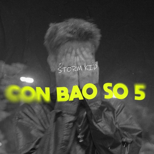 cơn bão số 5