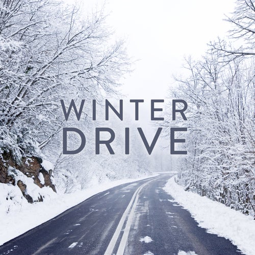 Winter Drive