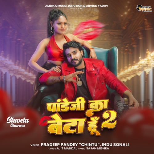 Pandeyji Ka Beta Hoon 2