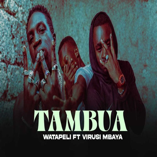 Tambua