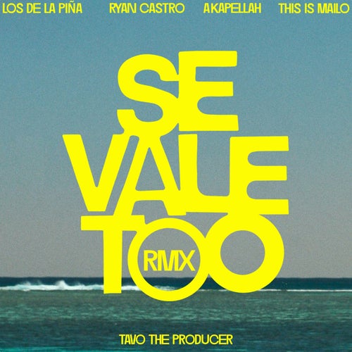 SE VALE TOO (feat. This Is Mailo, Tavo the producer) (Remix)