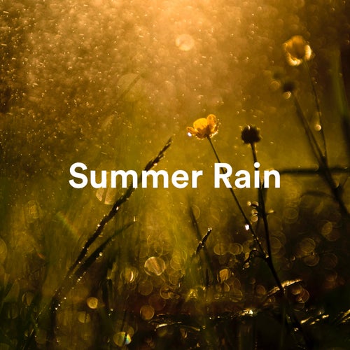 Summer Rain