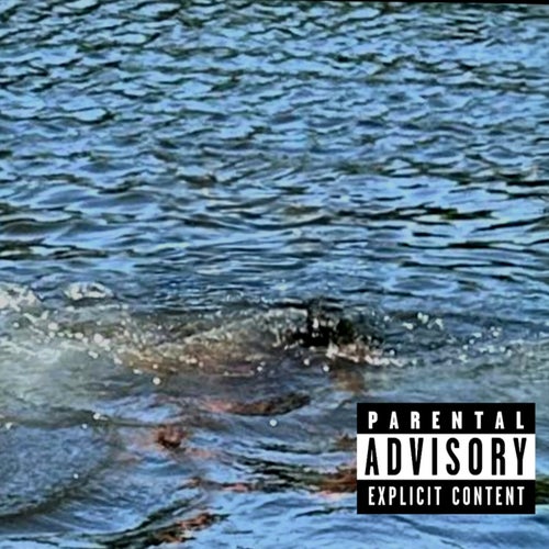 Release of the week