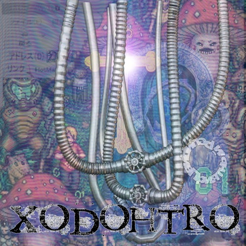 xodohtro