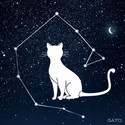 Cat Constellation