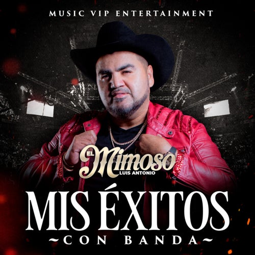 Mis Éxitos Con Banda