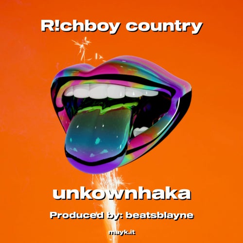 R!chboy country