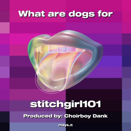 What are dogs for
