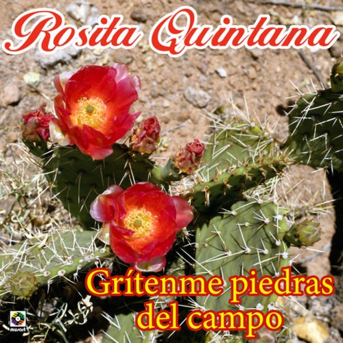 Grítenme Piedras Del Campo