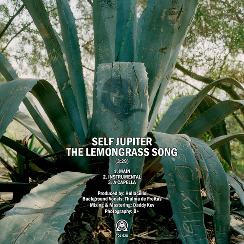 The Lemongrass Song
