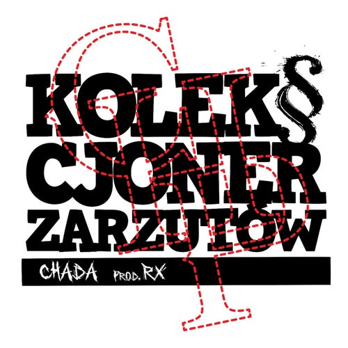 Kolekcjoner zarzutów