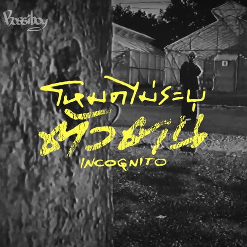 โหมดไม่ระบุตัวตน (Incognito)