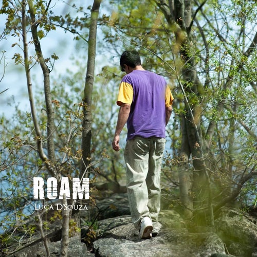 Roam