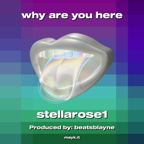 why are you here