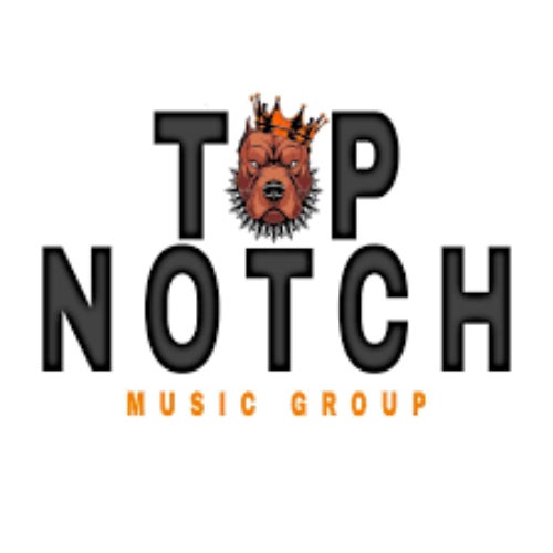 Hitmen Music / Top Notch Music VOF Profile