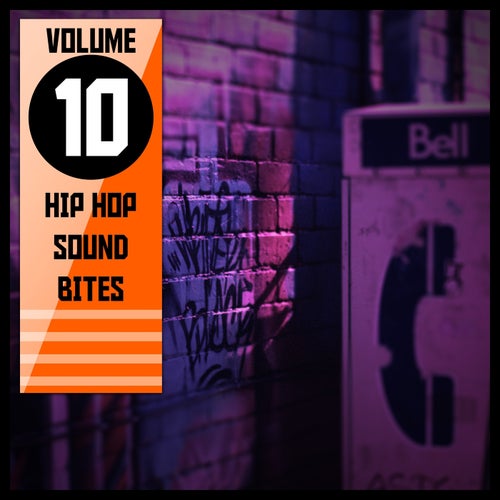 Hip Hop Sound Bites,Vol.10