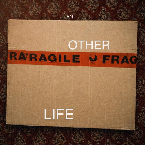 Another Life