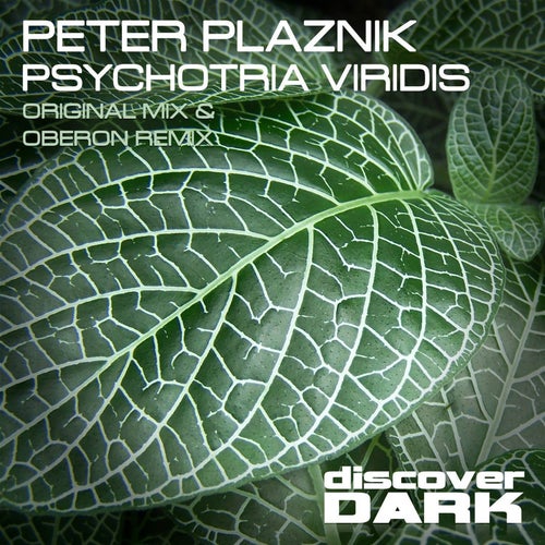 Peter Plaznik Profile