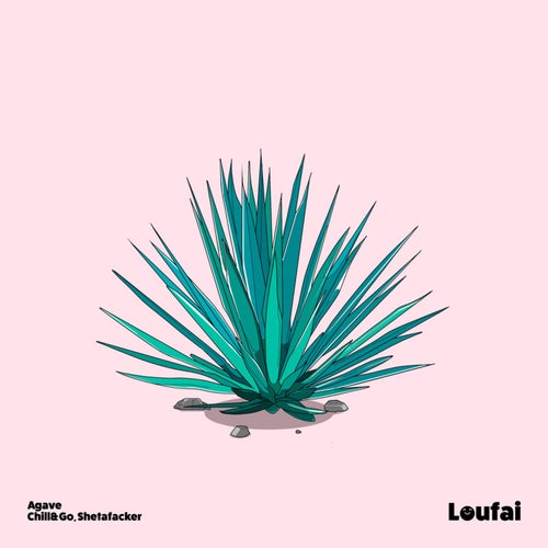 Agave